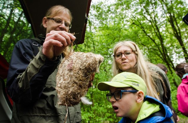 Vítání ptačího zpěvu, hnízdo moudivláčka lužního
