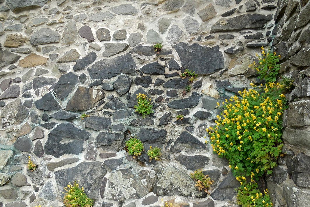 Vycházka s geologem
