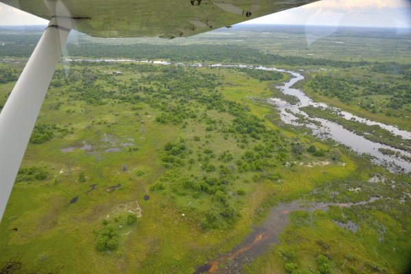 Okavango, foto Tomáš Grim