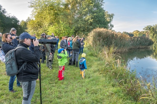 Festival ptactva u bohdanečských rybníků