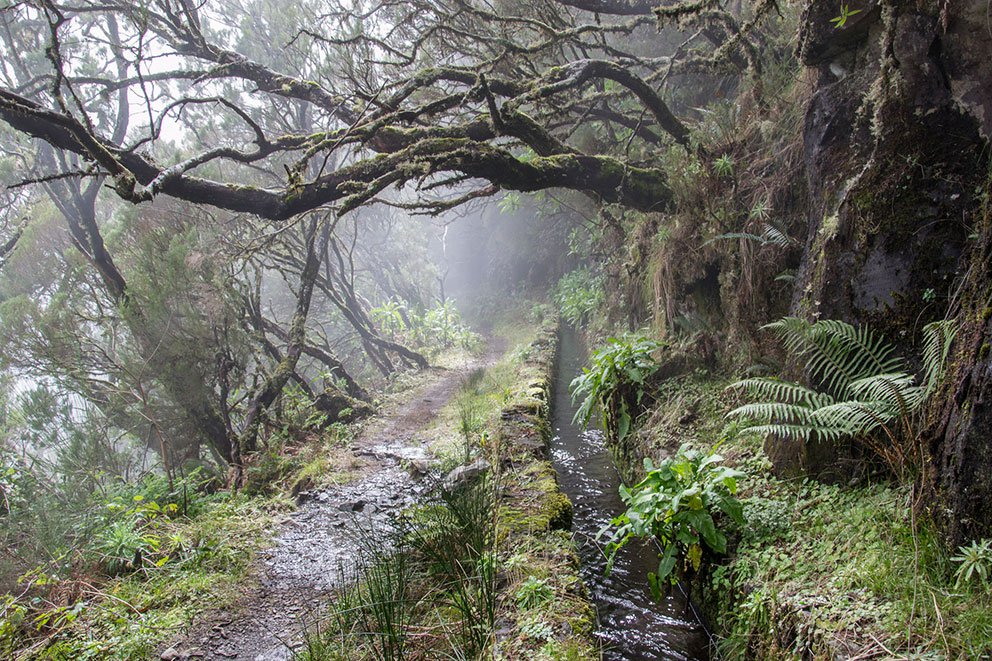 Madeira, foto Barbora Čepelová
