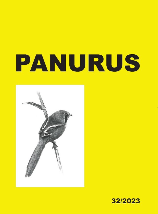 Panurus 32